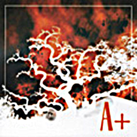 A+ – A+